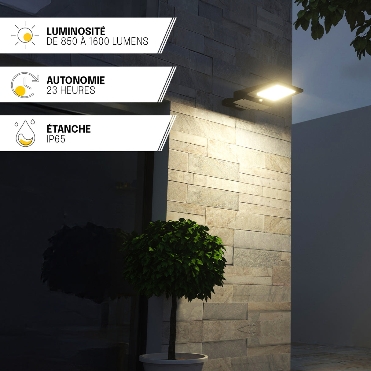 Projecteur Solaire Mural - IP65, Détection de Mouvement, Installation Murale ou sur Mât