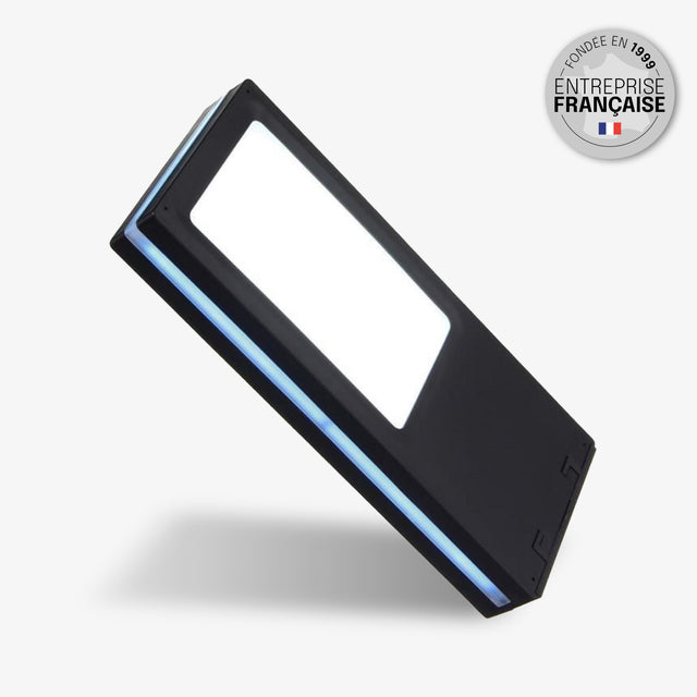 Applique Murale pour Extérieur Solaire - IP54, Détection de Mouvement