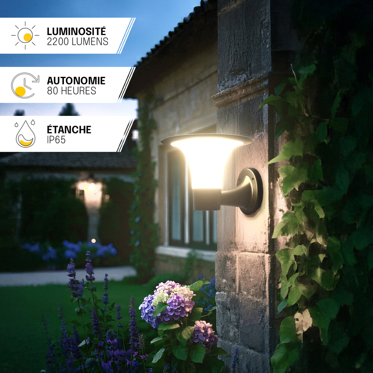 Applique Exterieur Solaire Haute Puissance – IP65, Détection de Mouvement, Batterie Remplaçable