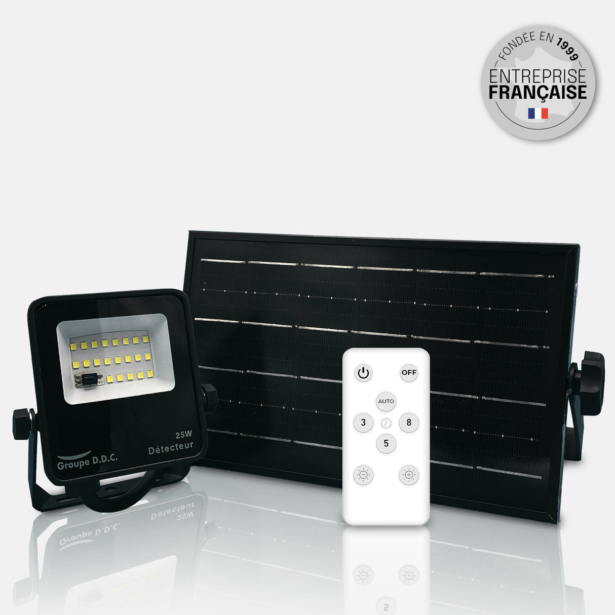 Projecteur Solaire avec Détecteur de Mouvement – IP65, Ultra Fin, Télécommande