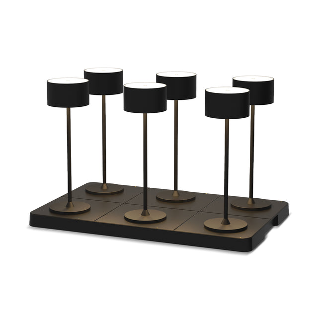 Plateau de Recharge 220V X6 Bases Induction - Pour Ref. 101.184
