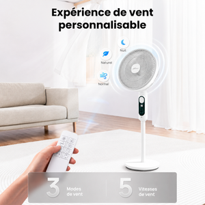 Ventilateur sur Pied Silencieux Rechargeable Solaire/220V, Double Oscillation avec Télécommande